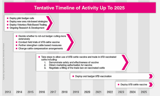 btb roadmap