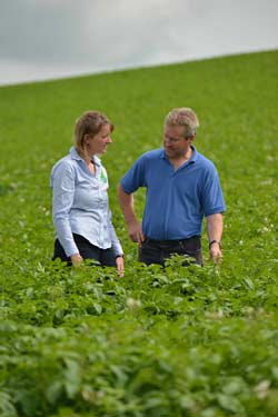 fife growers potatoes