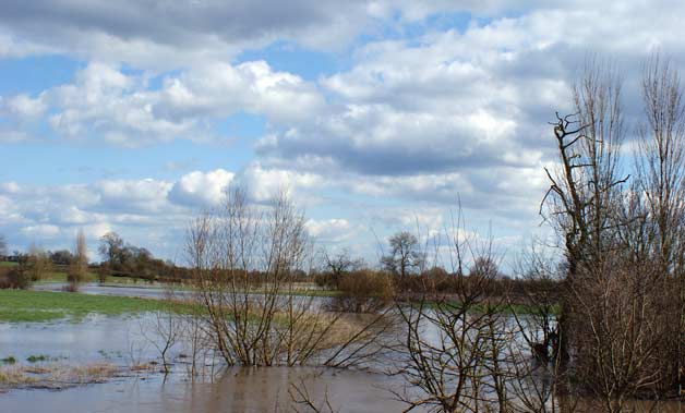 flooded land