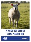 vision for british lamb