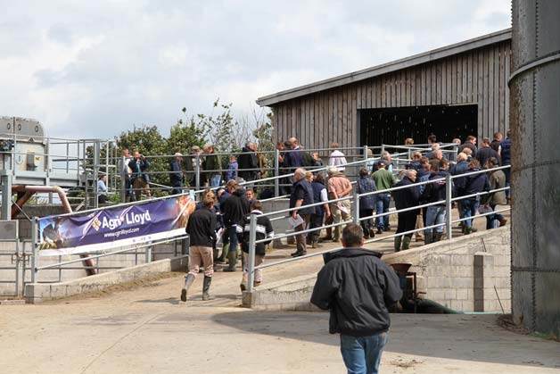 farmers at church farm