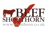 beef shorthorn