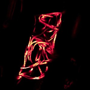 Image of Septoria (credit Durham University)