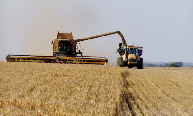 South-Australian-grain-harvest