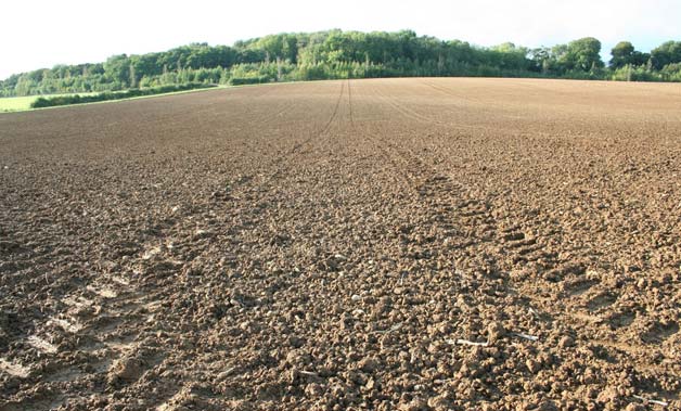 seedbed-ready-for-drilling