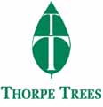 thorpe trees