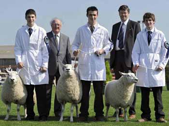 BB_SheepWinners