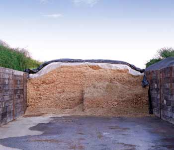 Clingseal-clampface-1