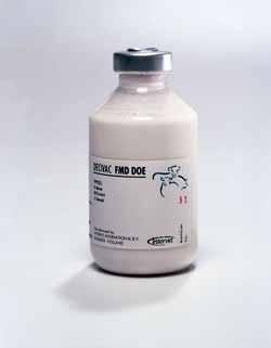 DECIVAC_FMD_DOE_1583
