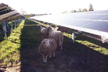 LCS_Farm_installation