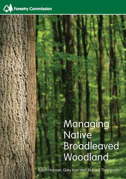 Managing_broadleaves