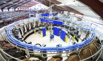 delaval_amr2