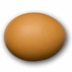 egg
