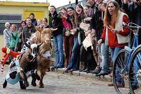goatrace
